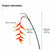 Artificial Bird of Paradise Flowers Heliconia Flamingo Flower Arrangement-Set of 3