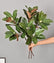 29“ Artificial Magnolia Leaf Stems Bicolor Contrast - Set of 6