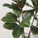 29“ Artificial Magnolia Leaf Stems Bicolor Contrast - Set of 6