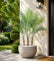 Realistic Artificial Areca Palm Leaves for Vase Indoor Decoration-Set of 3