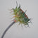 23.6In Artificial Silk Sunflower Stems with Realistic Buds for Home and Event Decoration-Set of 4