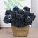 11" Faux Hyacinth Berry Flower Picks Succulent Berry Stems - Set of 6