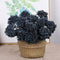 11" Faux Hyacinth Berry Flower Picks Succulent Berry Stems - Set of 6