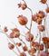 29” Faux Pomegranate Dusty Frosted Branches - Set of 3