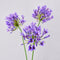 30” Artificial Agapanthus Flowers Lily of the Nile - Set of 3