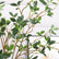 28” Realistic Touch Faux Elm Leaf Branches Ficus Greenery Stems - Set of 6