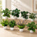 7In Realistic Artificial Green Plants Potted Plants for Indoor Home Decoration-Set of 4
