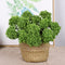 11" Faux Hyacinth Berry Flower Picks Succulent Berry Stems - Set of 6