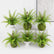 Artificial Greenery Bushes 21 Leaves Plants Ferns - Set of 6