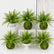 Artificial Greenery Bushes 21 Leaves Plants Ferns - Set of 6