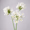 30” Artificial Agapanthus Flowers Lily of the Nile - Set of 3