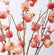 29” Faux Pomegranate Dusty Frosted Branches - Set of 3