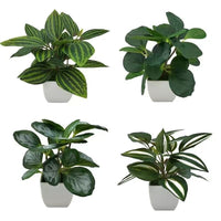 7In Realistic Artificial Green Plants Potted Plants for Indoor Home Decoration-Set of 4