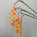 Artificial Bird of Paradise Flowers Heliconia Flamingo Flower Arrangement-Set of 3