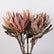 23In Artificial King Protea Flowers Faux Silk Flowers with Realistic Texture-Set of 3