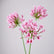 30” Artificial Agapanthus Flowers Lily of the Nile - Set of 3