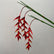 Artificial Bird of Paradise Flowers Heliconia Flamingo Flower Arrangement-Set of 3