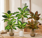 16.5" Realistic Touch Artificial Dieffenbachia Plant - Set of 3