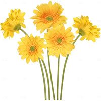 25" Realistic Touch Gerbera Daisy Flowers Decor - Set of 5