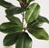 29“ Artificial Magnolia Leaf Stems Bicolor Contrast - Set of 6