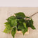 29” Realistic Hydrangea Leaf Stems Mulberry Leaf Branches - Set of 3