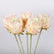 Realistic Artificial Thistle Flower Stems-Set of 6