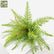 Artificial Greenery Bushes 21 Leaves Plants Ferns - Set of 6