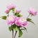 30" Realistic Touch 3-Head Artificial Peony Bouquets - Set of 6