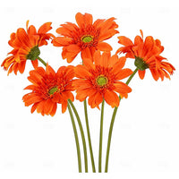 25" Realistic Touch Gerbera Daisy Flowers Decor - Set of 5